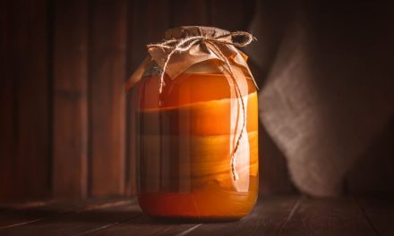 Manfaat Kombucha Bagi Kesehatan Tubuh Dan Pencernaan