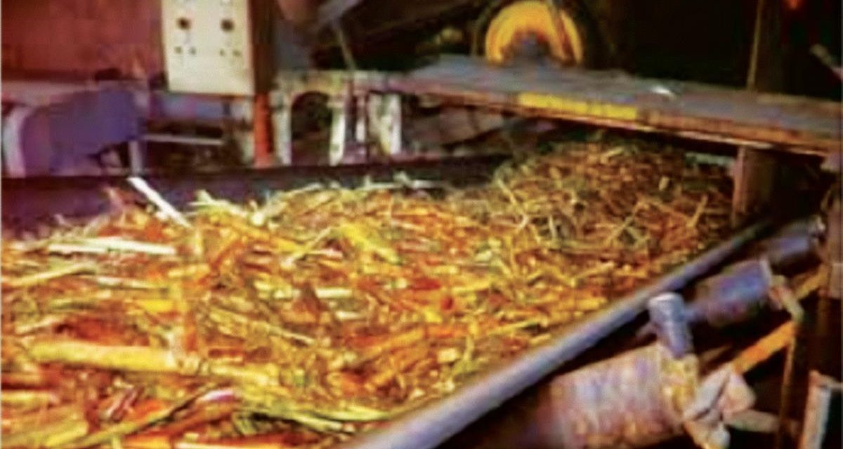 Proses Pengolahan Tebu Menjadi Gula