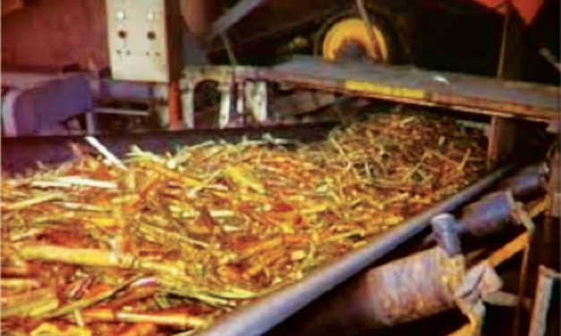 Proses Pengolahan Tebu Menjadi Gula