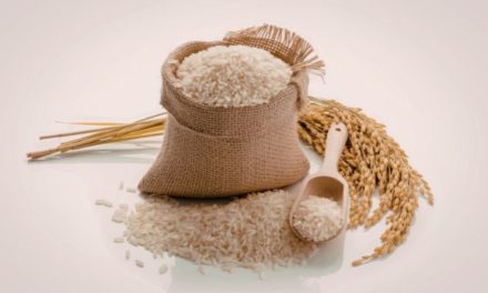 Inovasi Pengolahan Gandum Untuk Produk Bernilai Tinggi