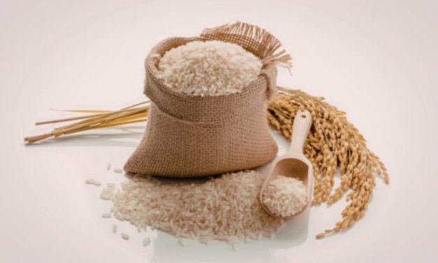 Inovasi Pengolahan Gandum Untuk Produk Bernilai Tinggi