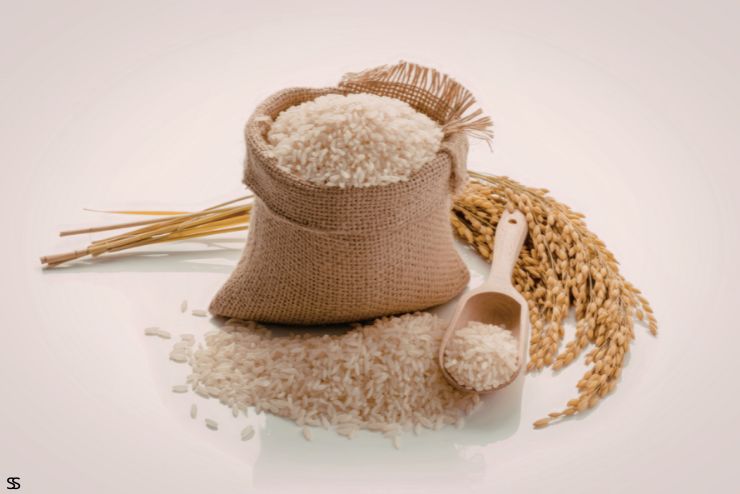 Inovasi Pengolahan Gandum Untuk Produk Bernilai Tinggi