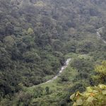 Keindahan Hutan Tropis Dan Kuliner Tradisional Nusantara