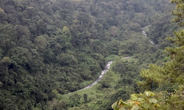 Keindahan Hutan Tropis Dan Kuliner Tradisional Nusantara