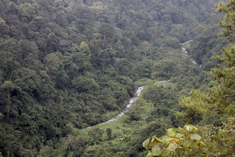 Keindahan Hutan Tropis Dan Kuliner Tradisional Nusantara