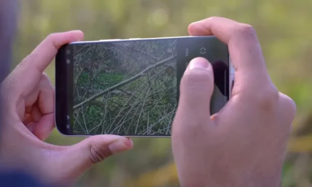 Gadget Pintar Untuk Produktivitas: Rekomendasi Terbaik 2026