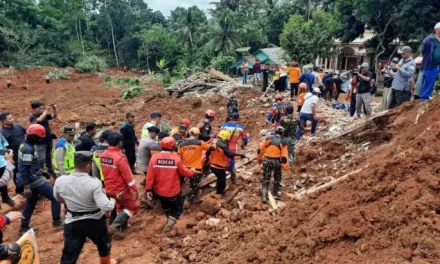 Fenomena Tanah Longsor: Pemicu Langkah Mengurangi Risiko