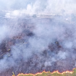 Kabut Asap Lintas Wilayah: Dampak Akibat Kebakaran Hutan