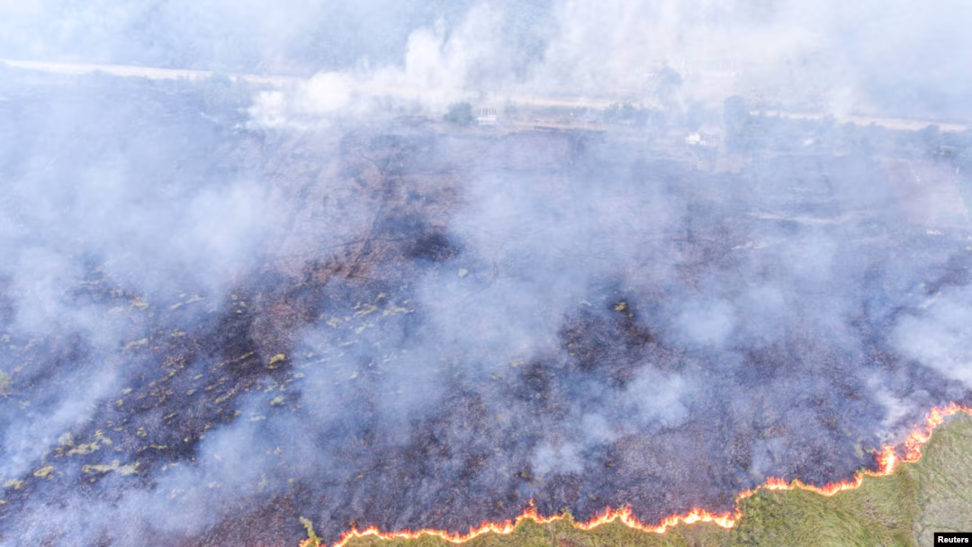 Kabut Asap Lintas Wilayah: Dampak Akibat Kebakaran Hutan