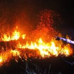 Kebakaran Hutan: Dampak Asap Bagi Lingkungan Dan Masyarakat
