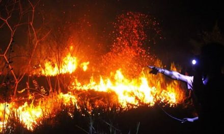 Kebakaran Hutan: Dampak Asap Bagi Lingkungan Dan Masyarakat