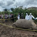 Konflik Satwa Dengan Manusia: Mengapa Habitat Perlu Dilindungi