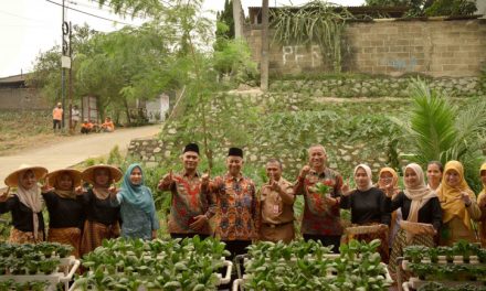 Obat Keluarga: Mengenal Jenis Tanaman Dan Pemanfaatannya
