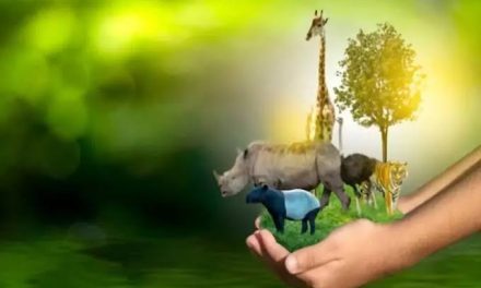 Pelestarian Satwa: Peran Masyarakat Menjaga Keanekaragaman